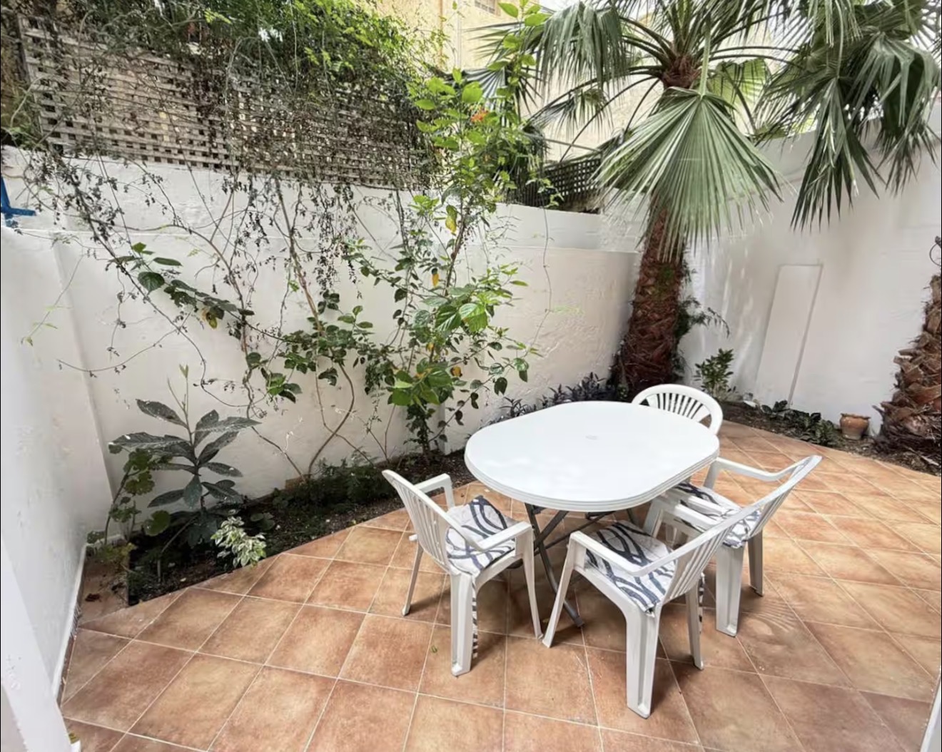 Apartment in Tangier - before